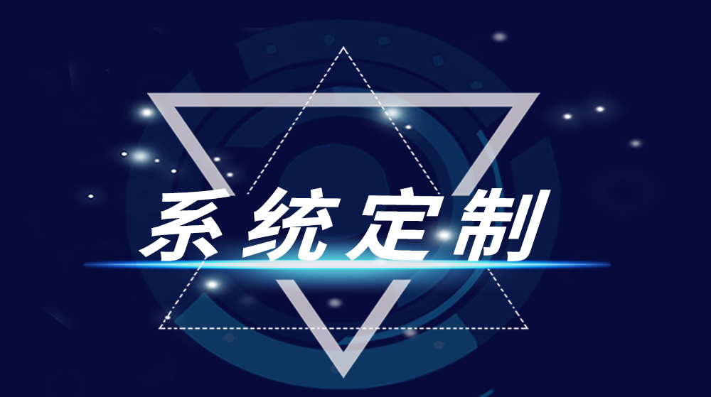 系統定制(zhì)服務